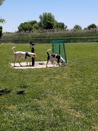 Little Creek Dog Park
